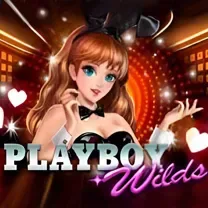 Download Do Aplicativo De Login Do ZevCasino